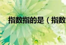 指数指的是（指数是指什么,因数是指什）