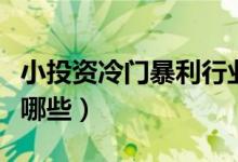 小投资冷门暴利行业（小投资冷门暴利行业有哪些）