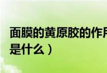 面膜的黄原胶的作用（黄原胶在面膜中的作用是什么）