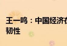 王一鸣：中国经济在应对困难挑战中显现强劲韧性