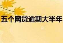 五个网贷逾期大半年 5个网贷全逾期了怎么还