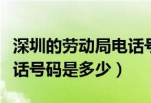 深圳的劳动局电话号码是多少（深圳劳动局电话号码是多少）