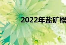 2022年盐矿概念上市公司有哪些