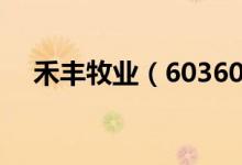 禾丰牧业（603609）股票股本结构分析