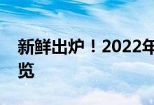 新鲜出炉！2022年焦炭概念上市公司股票一览