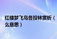 红楼梦飞鸟各投林赏析（《红楼梦》中“飞鸟各投林”是什么意思）