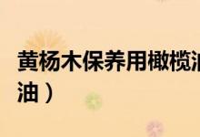 黄杨木保养用橄榄油行吗（黄杨木保养用什么油）