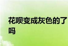 花呗变成灰色的了 花呗变灰色可以关闭重开吗
