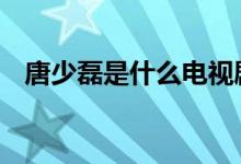 唐少磊是什么电视剧 唐少磊是哪部电视剧 