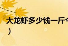 大龙虾多少钱一斤今日价（大龙虾多少钱一斤）