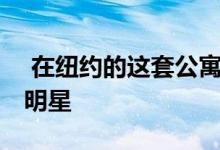  在纽约的这套公寓里 前卫的设计才是真正的明星 