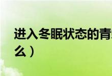 进入冬眠状态的青蛙,几乎靠什么呼吸（为什么）