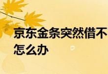 京东金条突然借不了款 京东金条突然借不了怎么办