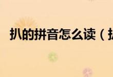 扒的拼音怎么读（扒一扒的扒的读音是什）