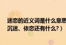 迷恋的近义词是什么意思（迷恋的近义词除了着迷、痴迷、沉迷、依恋还有什么?）