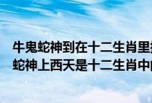 牛鬼蛇神到在十二生肖里指那个生肖（十二生肖是老大牛鬼蛇神上西天是十二生肖中的什么动物）
