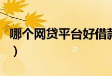 哪个网贷平台好借款（那个网贷平台借款最好）