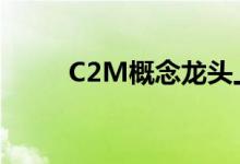 C2M概念龙头上市公司有哪些（）