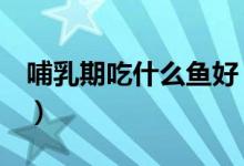 哺乳期吃什么鱼好（哺乳期吃什么好（图文））