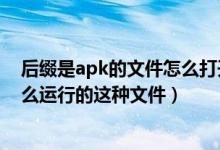 后缀是apk的文件怎么打开（后缀名为apk的是什么文件怎么运行的这种文件）