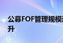 公募FOF管理规模逾2200亿业绩收益企稳回升