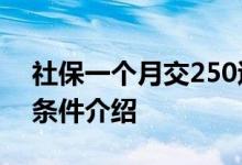 社保一个月交250退休能开多少钱 提前退休条件介绍 