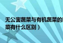 无公害蔬菜与有机蔬菜的区别（有机蔬菜和绿色无公害的蔬菜有什么区别）