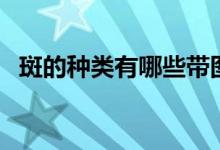 斑的种类有哪些带图片（斑的种类有哪些）