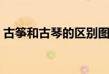 古筝和古琴的区别图片（古筝和古琴的区别）