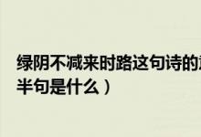 绿阴不减来时路这句诗的意思是什么（绿阴不减来时路的下半句是什么）