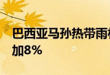 巴西亚马孙热带雨林7月火灾发生次数同比增加8%