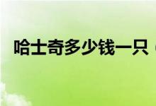 哈士奇多少钱一只（如何挑选纯种哈士奇）