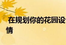  在规划你的花园设计之前要考虑的3件关键事情 