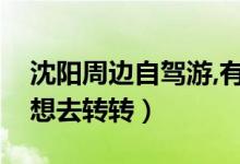 沈阳周边自驾游,有什么好玩的地方吗（五一想去转转）