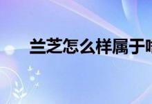 兰芝怎么样属于啥档次（兰芝怎么样）