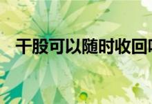 干股可以随时收回吗 干股可以随时收回吗
