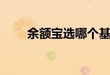 余额宝选哪个基金好（余额宝贷款）