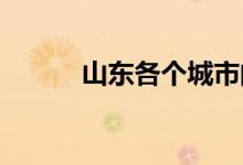  山东各个城市的车牌代码是什么 