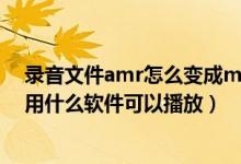 录音文件amr怎么变成mp3格式（录音格式为.amr的文件用什么软件可以播放）