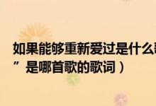 如果能够重新爱过是什么歌（“我可以重新去爱重新去等待”是哪首歌的歌词）