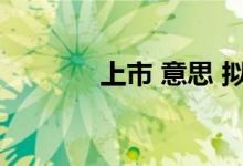 上市 意思 拟上市是什么意思