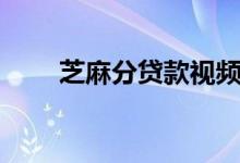 芝麻分贷款视频（芝麻分贷款秒批）