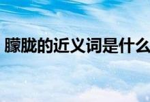 朦胧的近义词是什么意思（朦胧的近反义词）