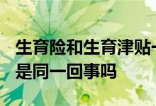 生育险和生育津贴一样吗? 生育险和生育津贴是同一回事吗