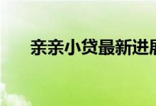 亲亲小贷最新进展（亲亲小贷怎么样）