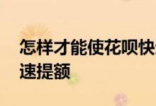 怎样才能使花呗快速提额 怎样可以让花呗快速提额