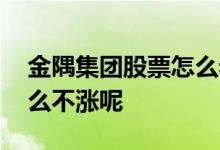 金隅集团股票怎么老是不涨 金隅集团股票怎么不涨呢 