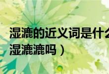湿漉的近义词是什么词（潮湿的近义词可以是湿漉漉吗）
