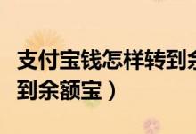 支付宝钱怎样转到余额宝（支付宝的钱怎么转到余额宝）