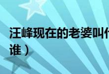 汪峰现在的老婆叫什么名（汪峰现在的老婆是谁）
